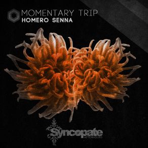 Download track Momentary Trip (Original Mix) Homero Senna