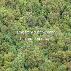 Download track The Mortimer Trap Thomas Brinkmann, Oren Ambarchi