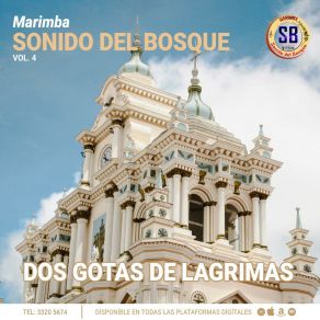 Download track Despues De Amar Marimba Sonido Del Bosque