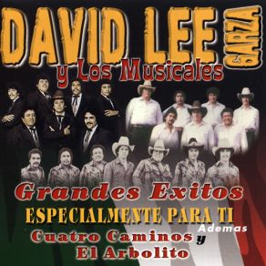 Download track Que Voy Hacer David Lee Garza