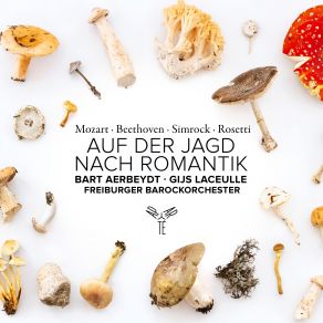 Download track Mozart: 12 Horn Duos, K. 487 / 496a: No. 12 In F Major. Allegro Gottfried Von Der GoltzFreiburger Barockorchester, Bart Aerbeydt, Gijs Laceulle