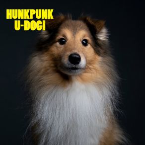 Download track U-Dogi HunkPunk