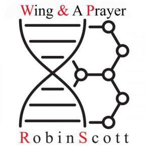 Download track Wing & A Prayer Robin Scott