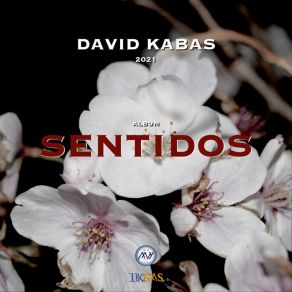 Download track Rumbear (Sentidos 21) David Kabas