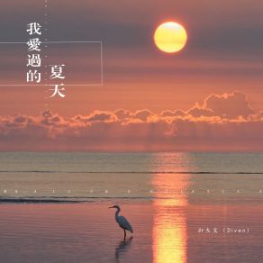 Download track 我爱过的夏天 孙大文（Diven）