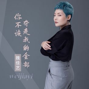 Download track 你不该夺走我的全部 (辉煌版 伴奏) Banan