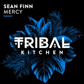 Download track Mercy (Extended Mix) Sean Finn