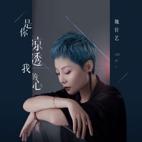 Download track 是你凉透我的心 (伴奏) 魏佳艺