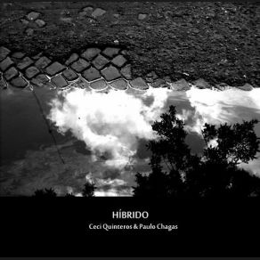 Download track Híbrido Paulo Chagas