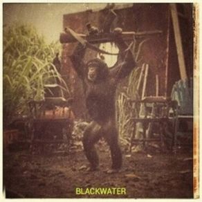 Download track Iron Cobra Blackwater