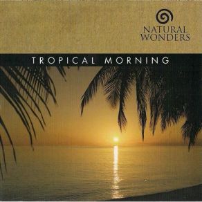 Download track Tropical Morning David Arkenstone