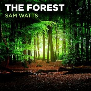 Download track Through The Trees Sam Watts