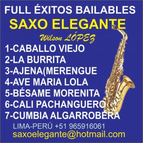 Download track Cumbia Algarrobera (Cover) Saxo Elegante