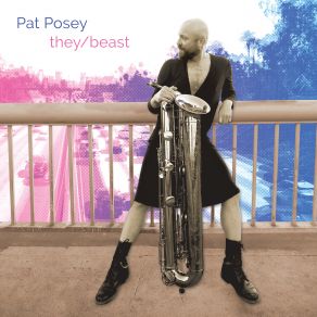 Download track Melodies For Saxophone (Arr. For Tubax By Pat Posey): No. 12 Pat Posey