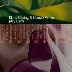 Download track Sechs Schubler Corales - Bwv 645 Klaus Gesing, Glauco Venier