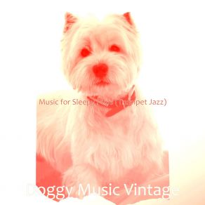 Download track Brilliant Jazz Trio - Vibe For Separation Anxiety Doggy Music Vintage