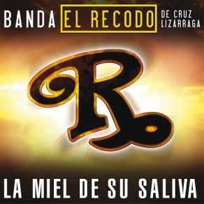 Download track La Miel De Su Saliva Banda El Recodo De Cruz Lizárraga