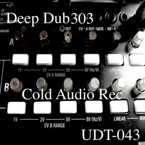 Download track Deep Dub 303 (Dub Mix) Cold Audio Rec