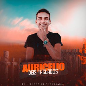 Download track Voce Quem Perdeu Auricelio Dos Teclados