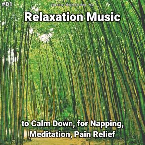 Download track Relaxation Music, Pt. 76 Yoga