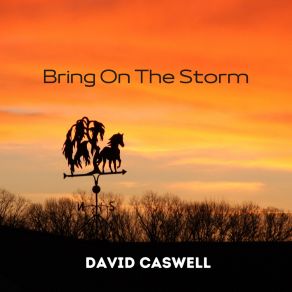 Download track Bring On The Storm David Caswell