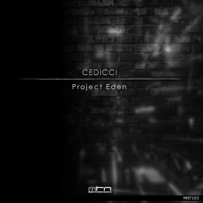 Download track The Energy Cedicci