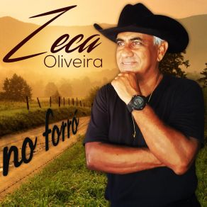 Download track Eu Não Sou Mais Safado Zeca Oliveira