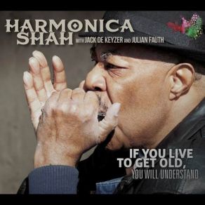 Download track If You Live To Get Old, You Will Understand Harmonica Shah, Julian Fauth, Jack De Keyzer