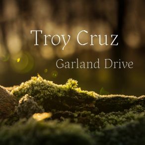 Download track Unwound Avant Troy Cruz