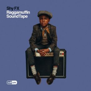 Download track Raggamuffin Shy FXMr Williamz