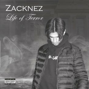 Download track What I Wanna Do Zacknez