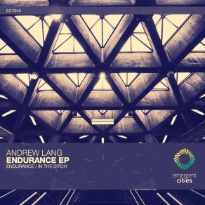 Download track Endurance Andrew Lang