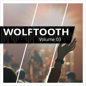 Download track Power Of Persistence Wolftooth