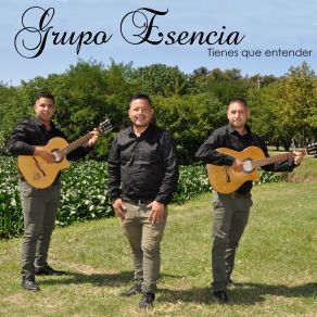 Download track Tienes Que Entender Grupo Esencia