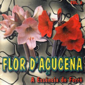 Download track Meu Viver Flor D'açucena