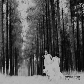 Download track The Void (Intro) Thandi Ntuli