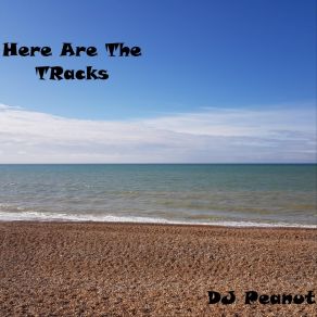 Download track We Are Gathered Here To Trance Dj Peanut