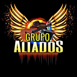 Download track Sin Medidas Por Amor Grupo Aliados