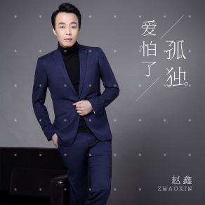 Download track 爱怕了孤独 (伴奏) Zhao Xin