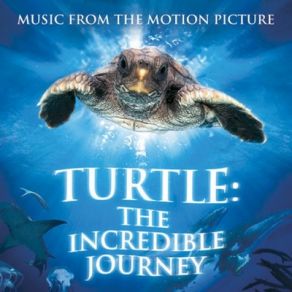 Download track Turtle Universe Henning Lohner