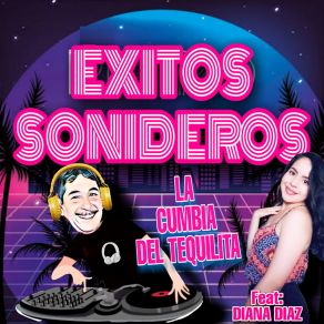 Download track Fuiste Exitos SoniderosDiana Díaz