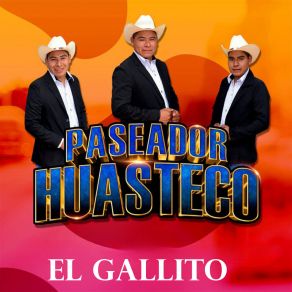 Download track El Trenecito PASEADOR HUASTECO