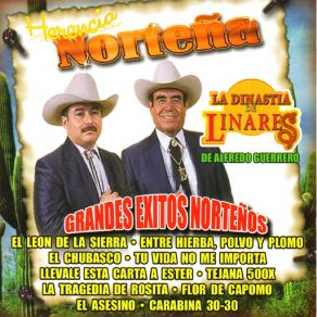 Download track El Chubasco La Dinastia De Linares De Alfredo Guerrero