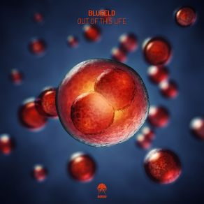 Download track Out Of This Life Bluefeld