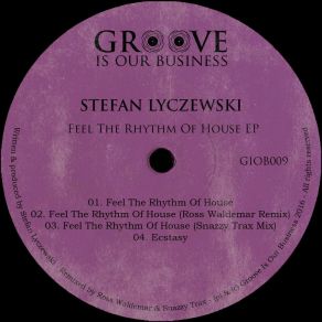 Download track Feel The Rhythm Of House (Original Mix) Stefan Lyczewski