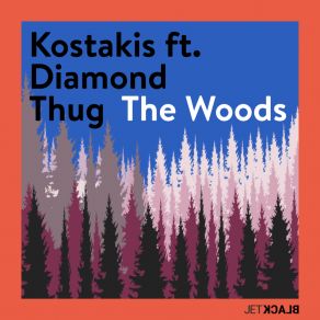 Download track The Woods (Radio Edit) Diamond Thug