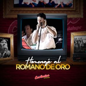 Download track Dolor De Amor Orquesta Caribeños De Guadalupe