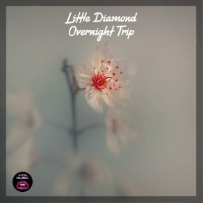 Download track Overnight Trip Little Diamond