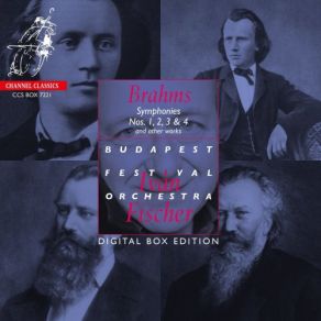 Download track Symphony No. 2 In D Major, Op. 73: I. Allegro Non Troppo Iván Fischer, Iván Fischer Budapest Festival Orchestra