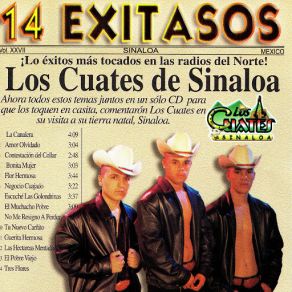 Download track Guerita Hermosa Los Cuates De Sinaloa